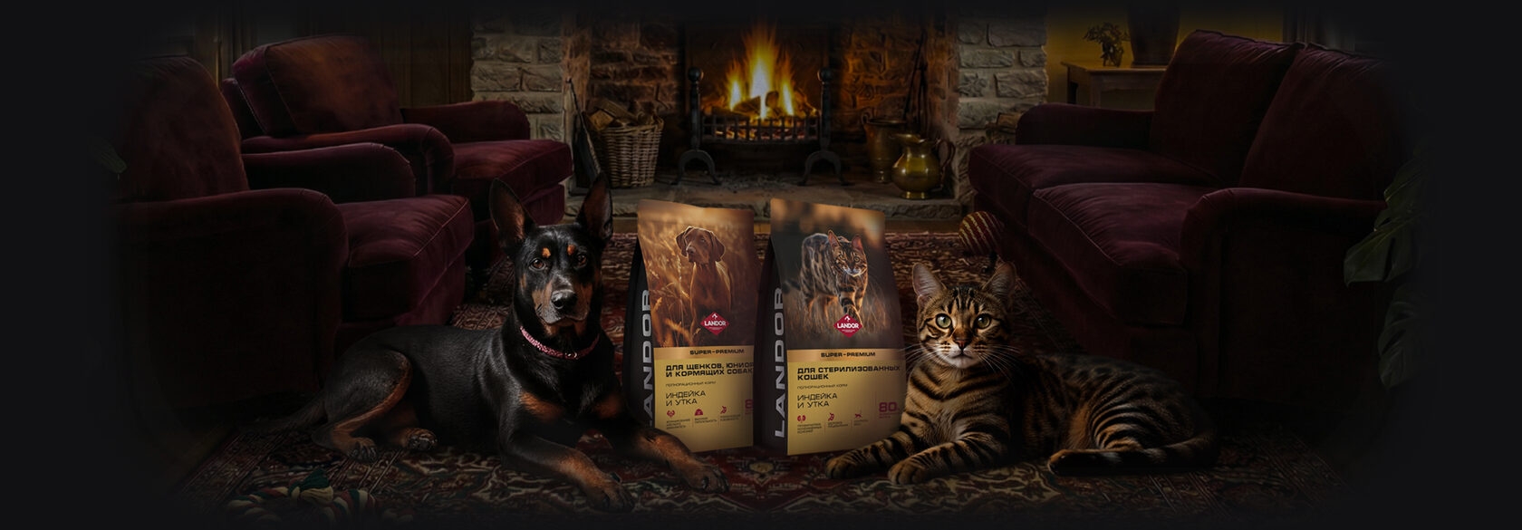 Собака и кошка лежат с кормом Ландор