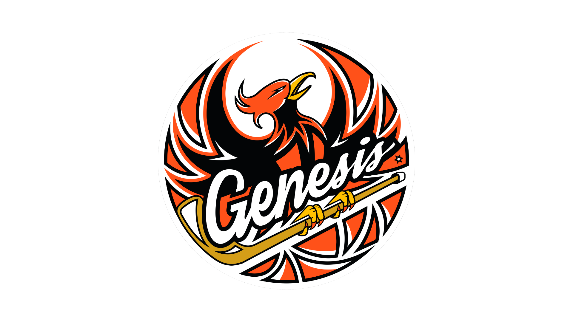 Вебинар "Стратегия развития хоккеиста"