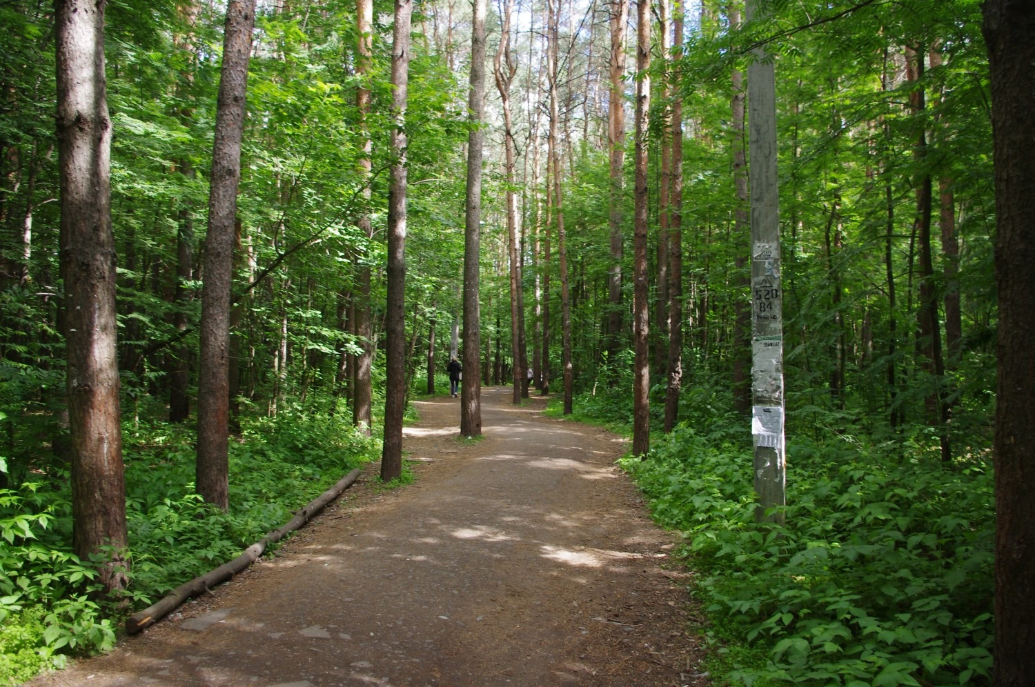 Город леса бабушкино. Зеленоград Лесопарковая зона. Парк городской лесопарк Зеленоград. Лесопарковые и зеленые зоны. Лесопарковая зона «Амурсталевские сопки»..