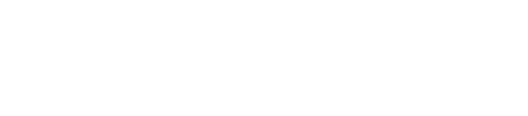  Lavin consulting 