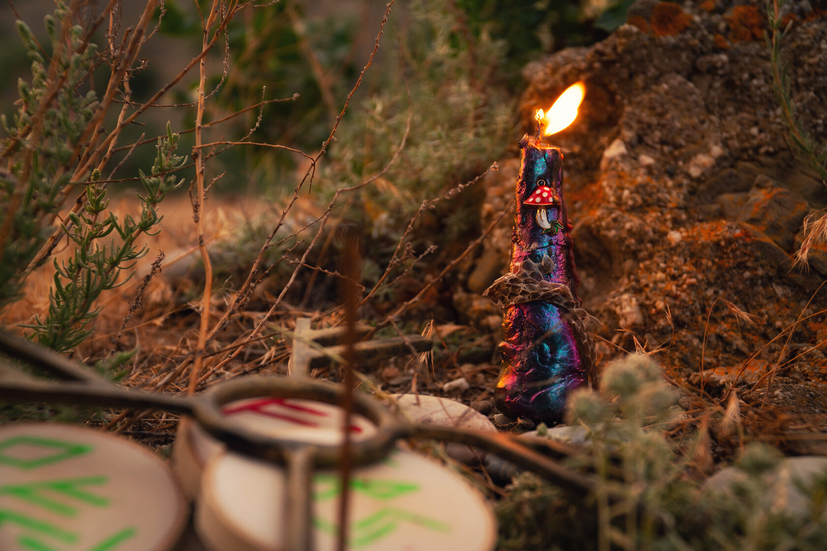 Фотограф Ян Севальнев