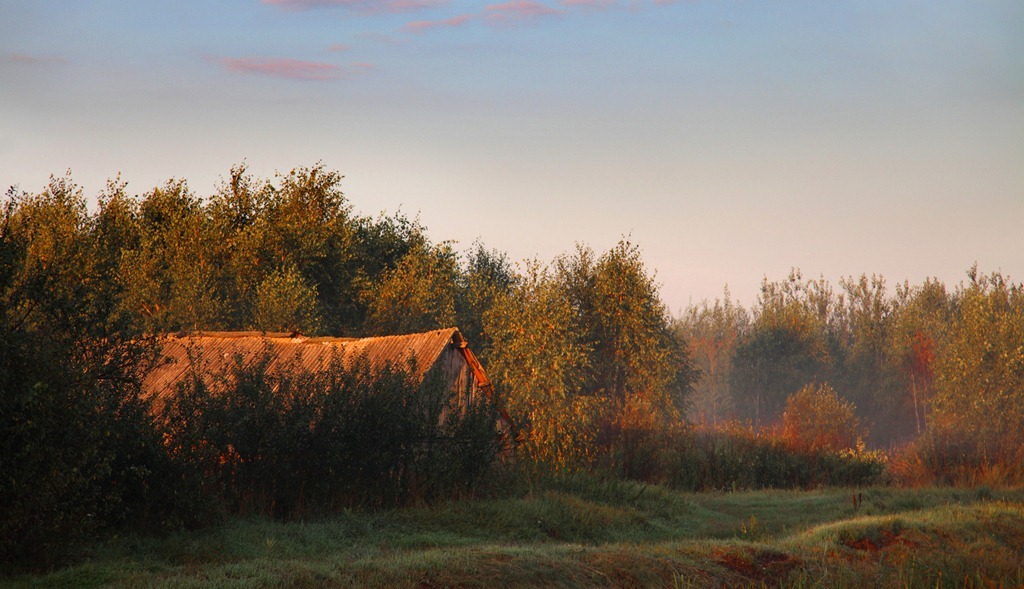 Природа гомельской области фото