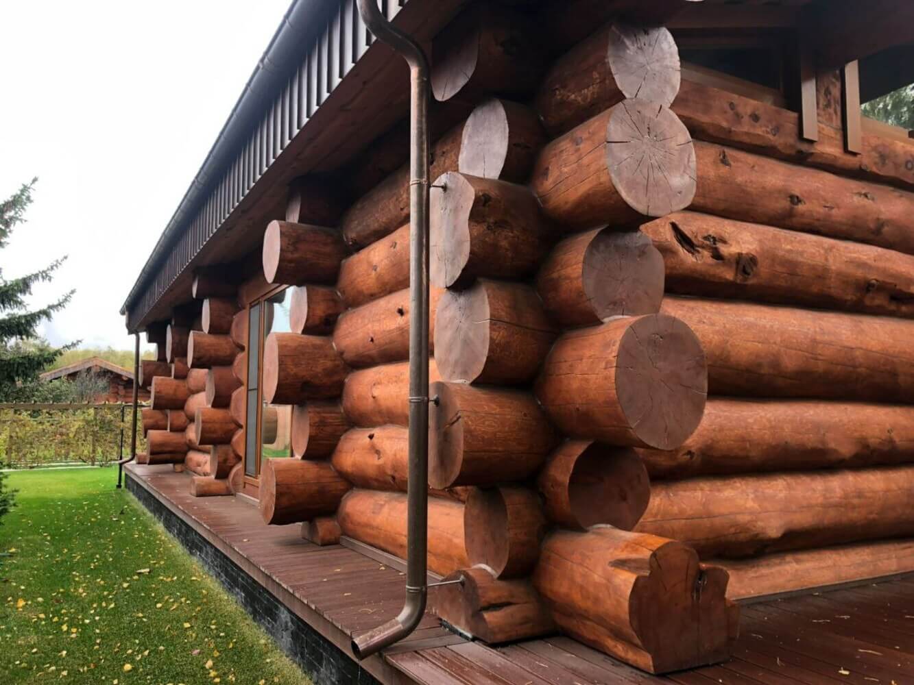 Естественная фактура брёвен алтайского кедра