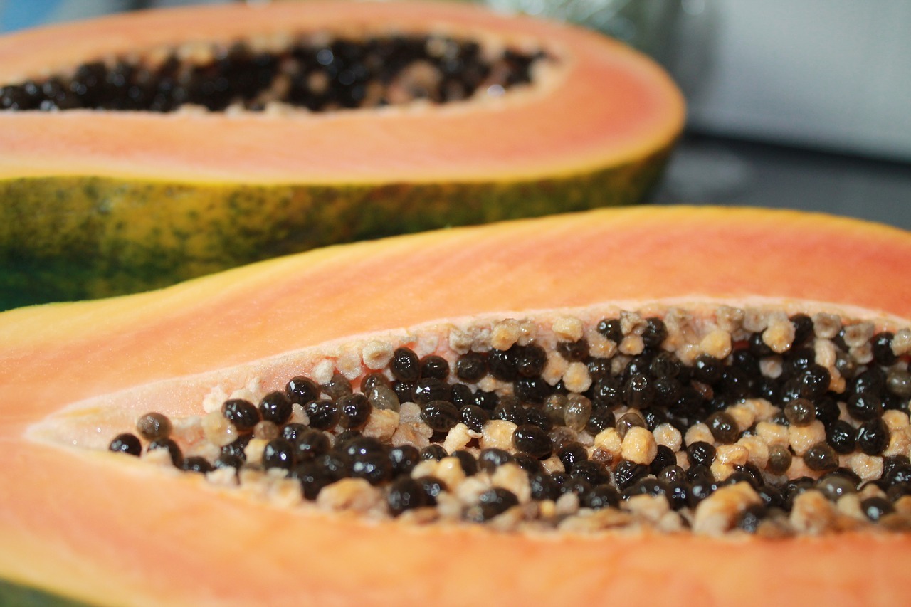 Engineering a Virus Resistant Papaya