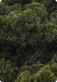 Уникальный загородный курорт