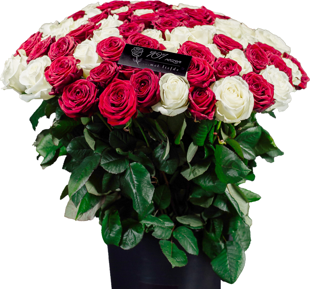 101 Rozen