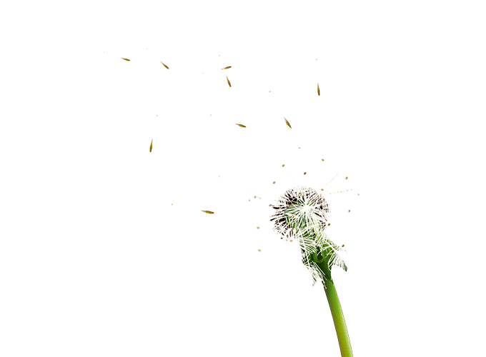 аксесс барс бесплатно