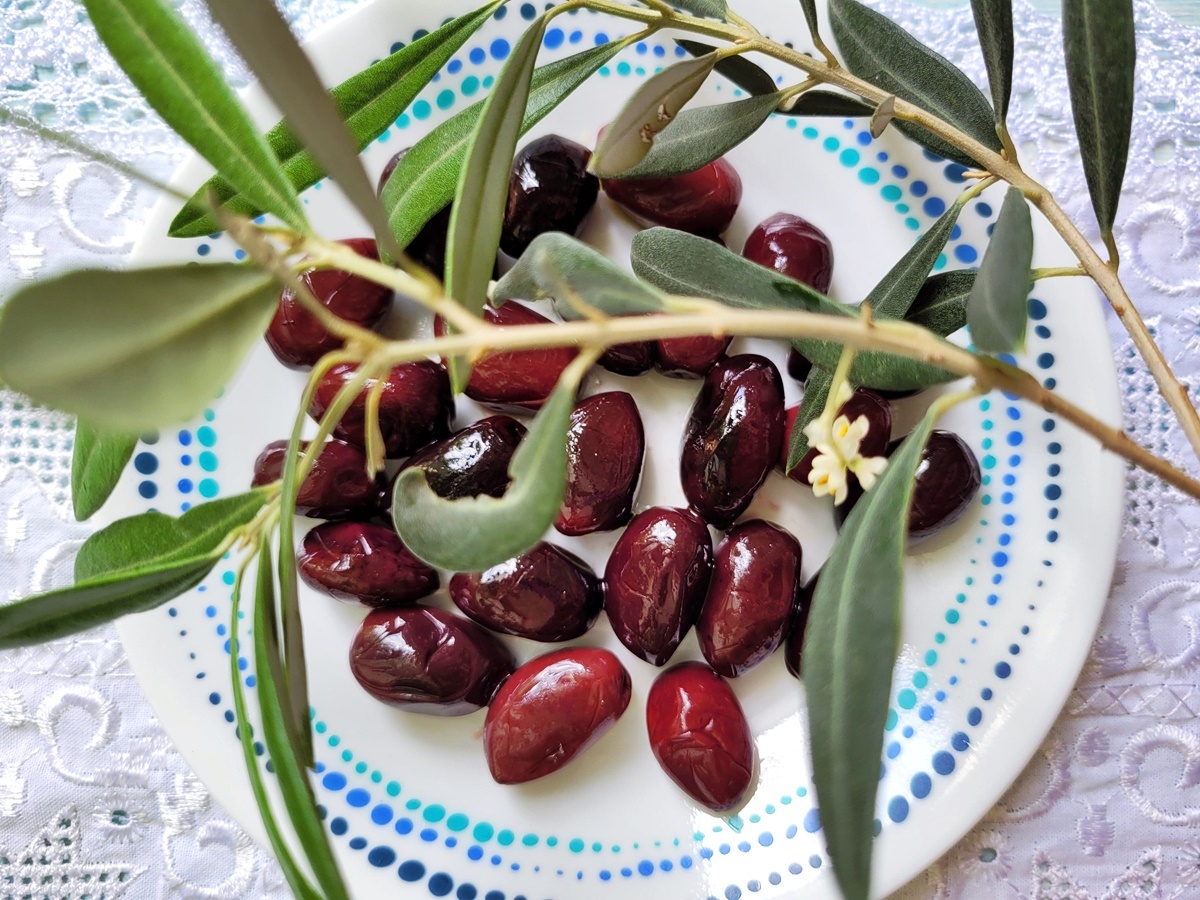 Греческие оливки Каламата. Блог Вкусный Израиль.