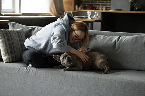 Усыпление животных на дому в Москве - цены на эвтаназию