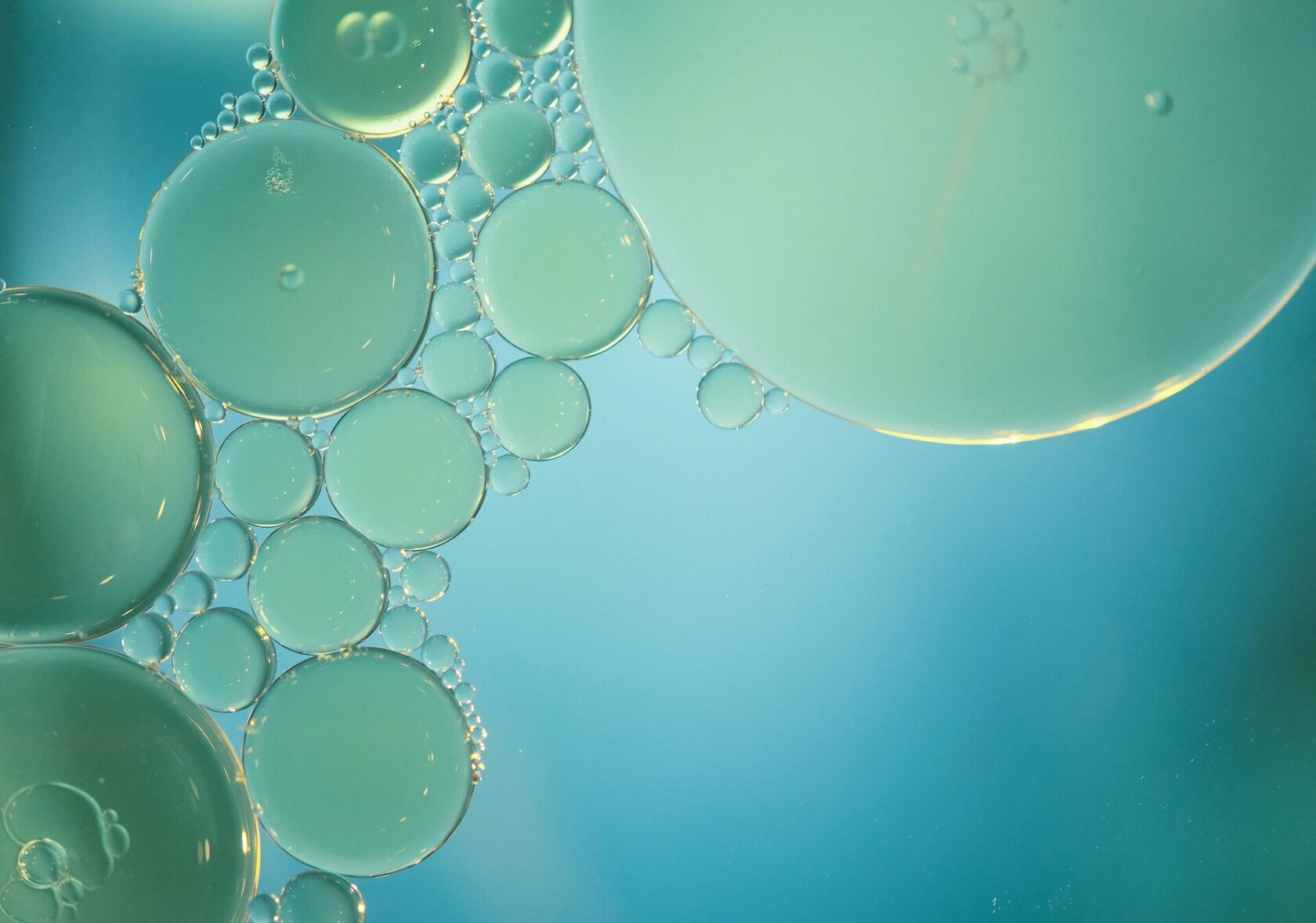 Разработка фирменного стиля производителя суперфуда