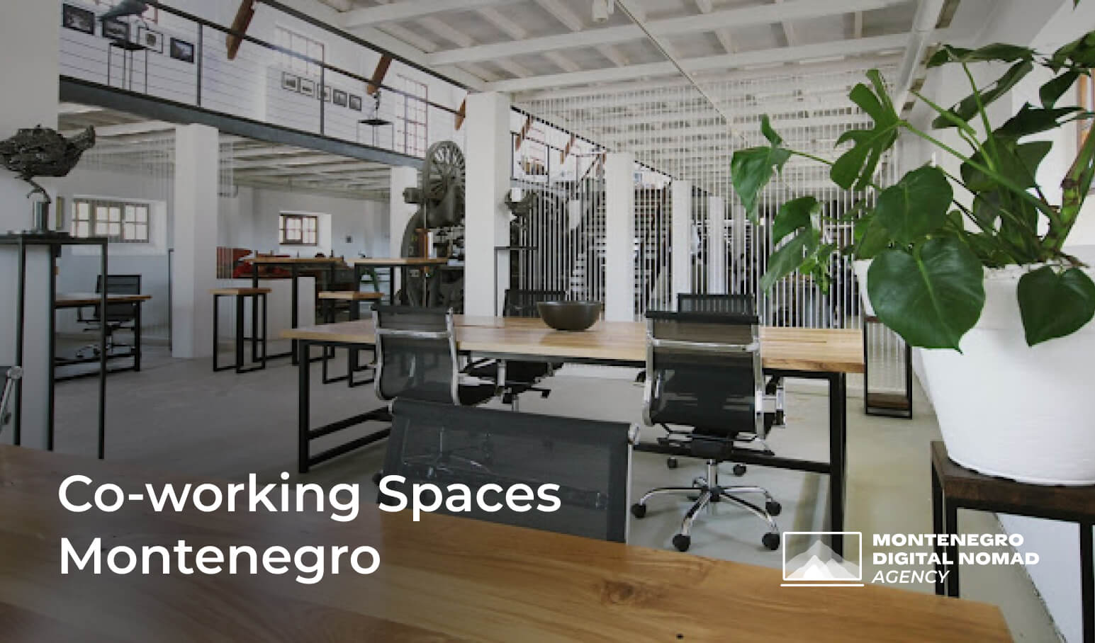Image of a co-working space in Montenegro - Text overlay reads - Co-working Spaces Montenegro 