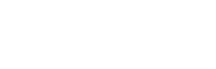 velorb.ru