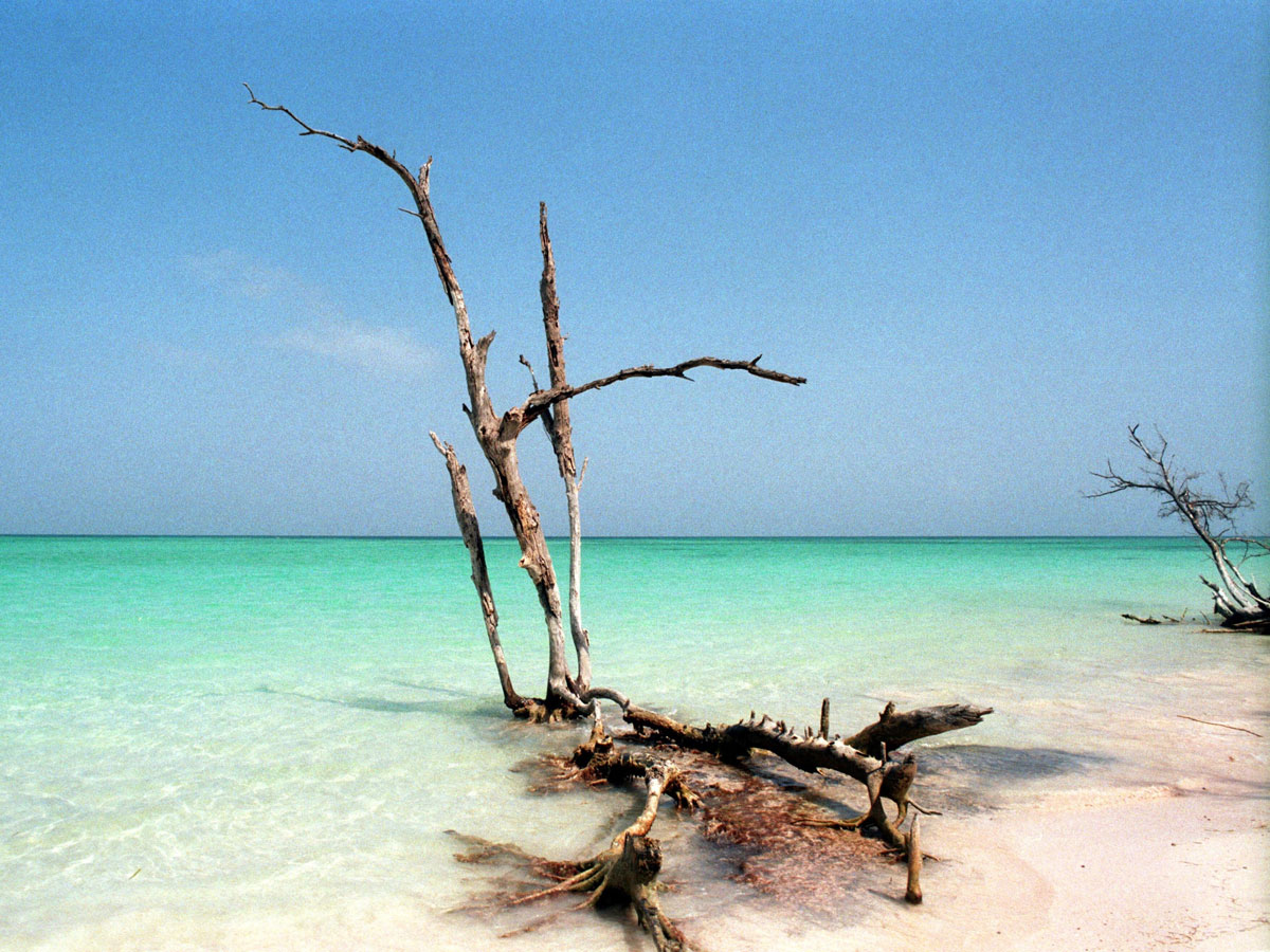 На фото: пляжи Кубы Cayo Jutias
