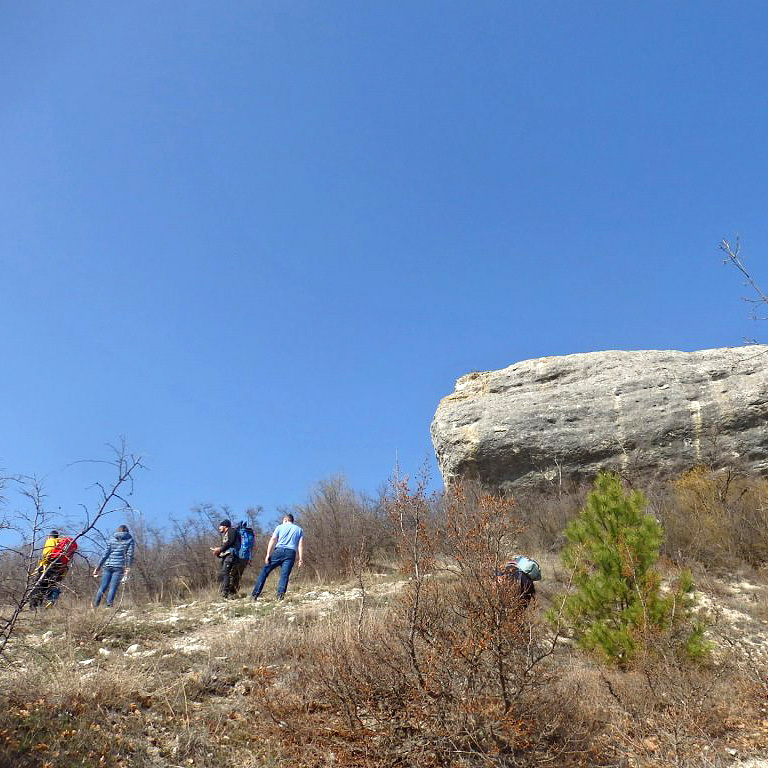 Палеонтологические находки Paleo Tours. Крым