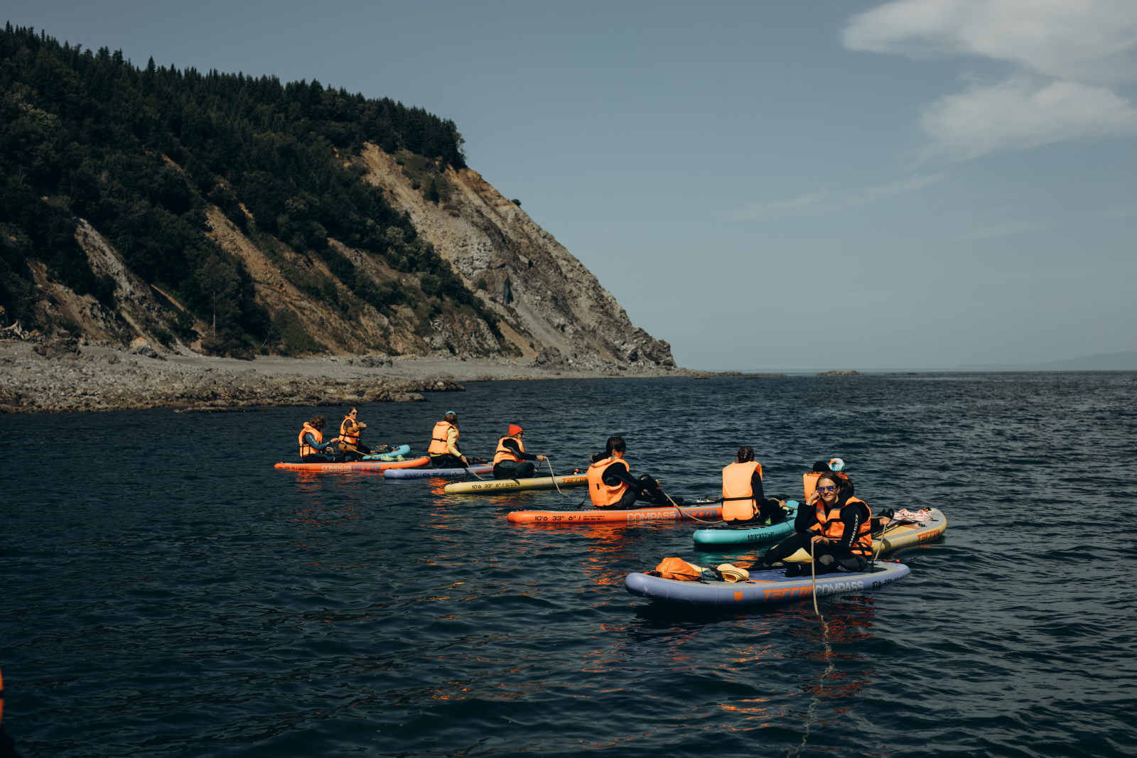 Гости Китовой гавани
