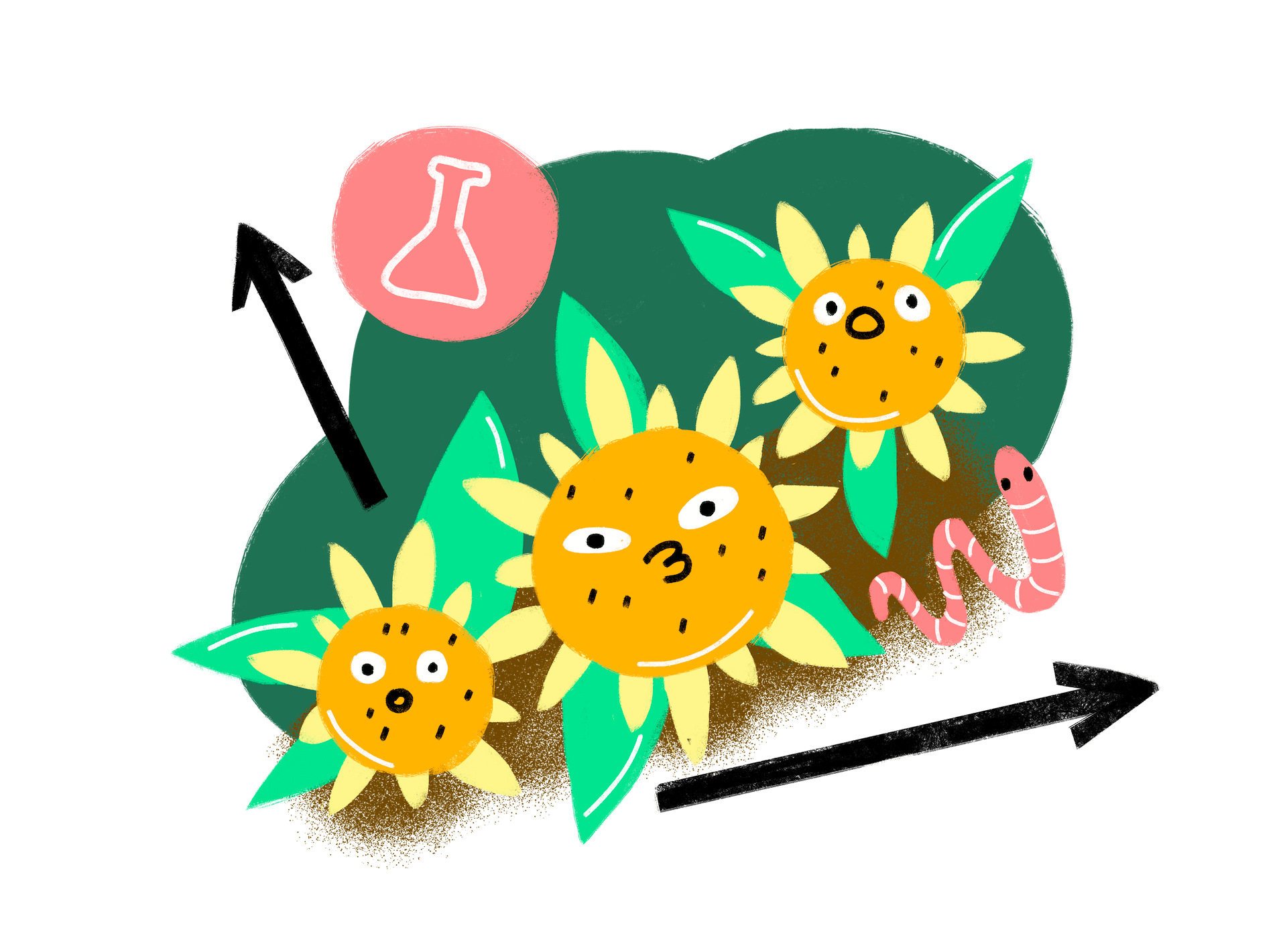 OneSoil field experiment with variablerate seeding on sunflowers in