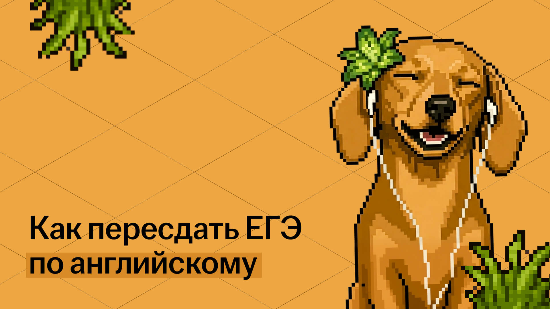 Как пересдать ЕГЭ по английскому