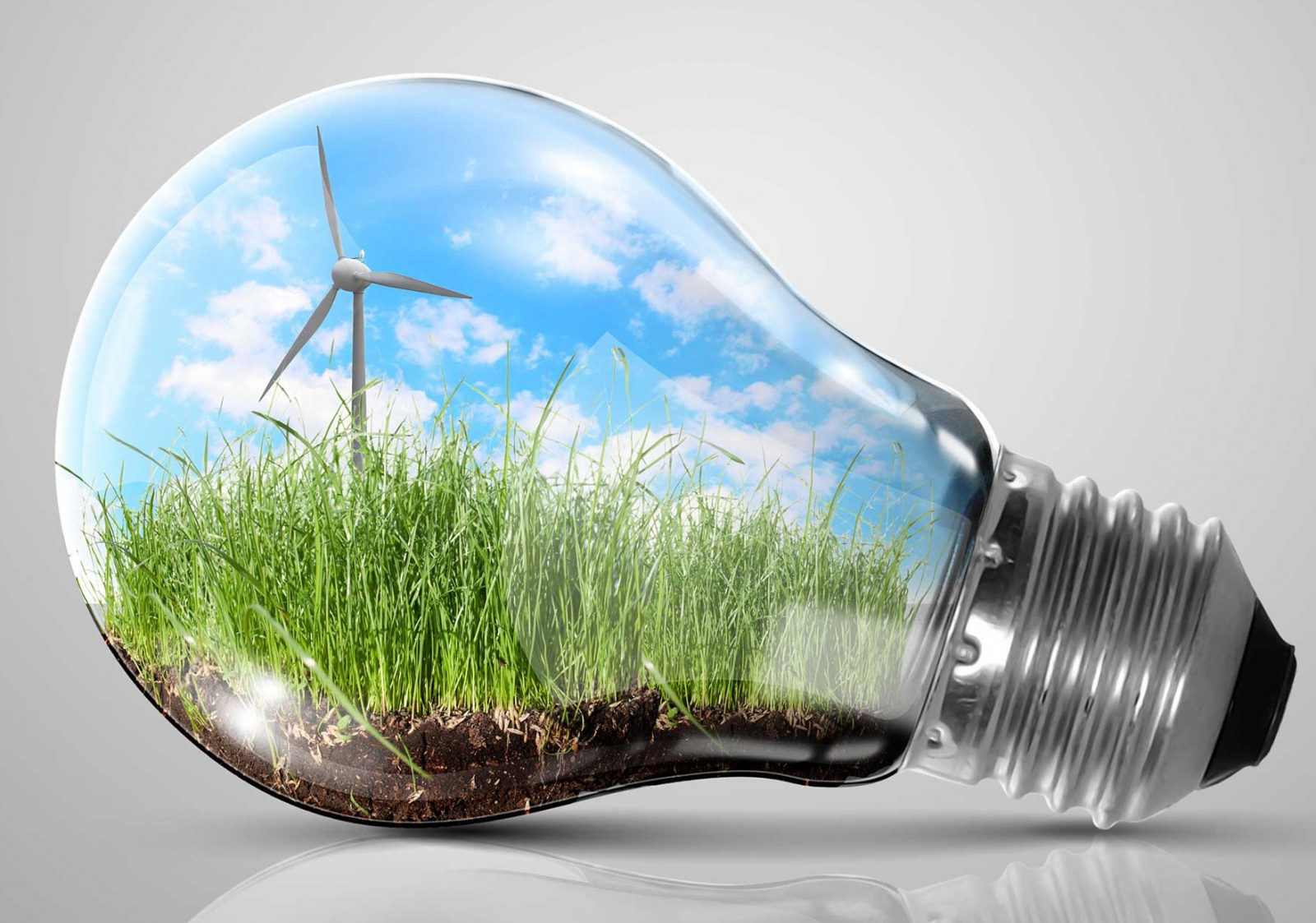 Экономика в быту. Экология и энергосбережение. Природа в лампочке. Лампочка экология. Экология электричество.