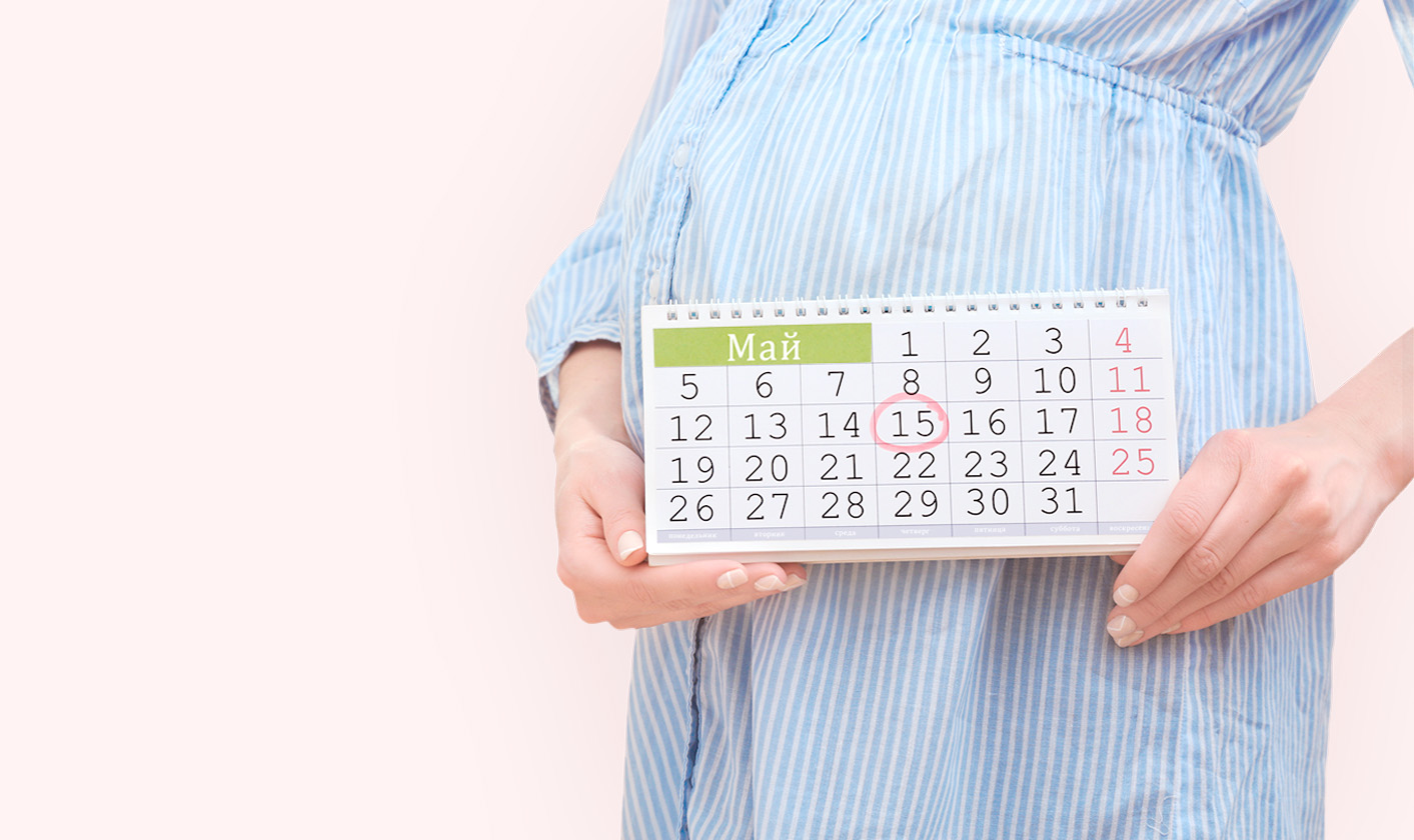 Тесты на беременность и овуляцию - купить в Ташкенте онлайн по хорошей цене | PharmaClick