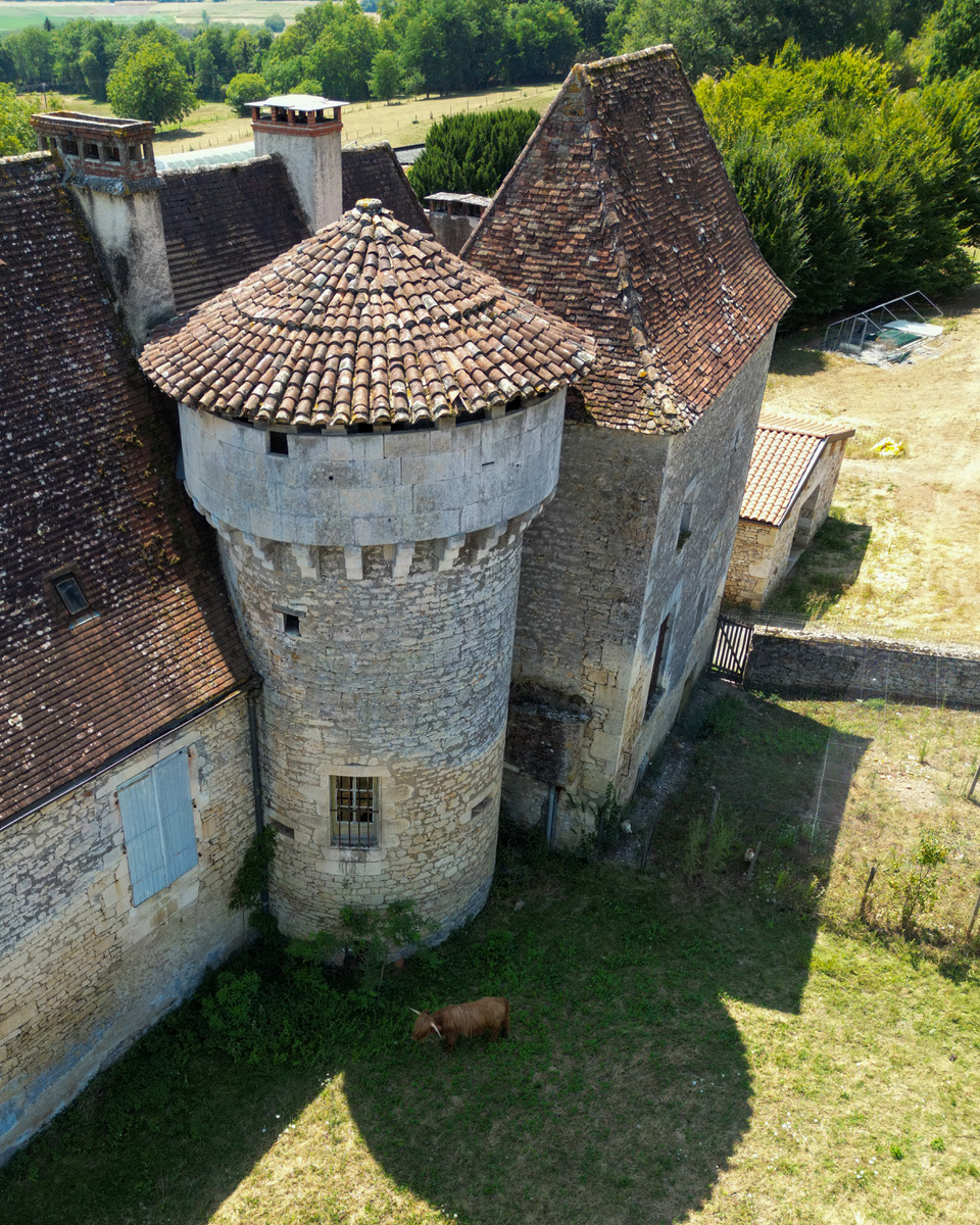 Chateau du Saulou