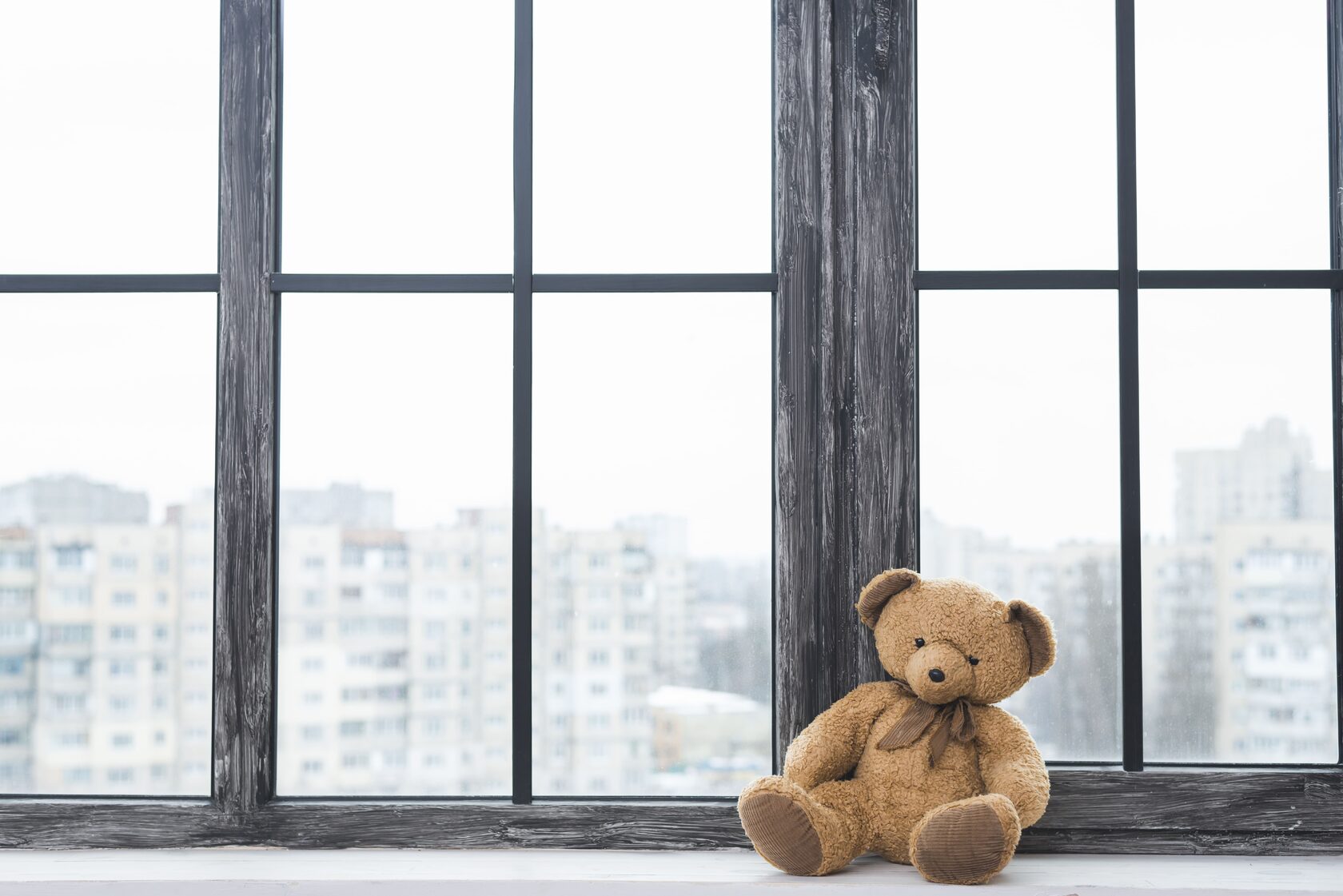 I have closed the window. Мишка на окно. Плюшевый мишка у окна. Плюшевый медведь на окне. Окно зима