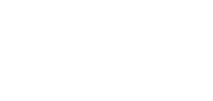 Три кита