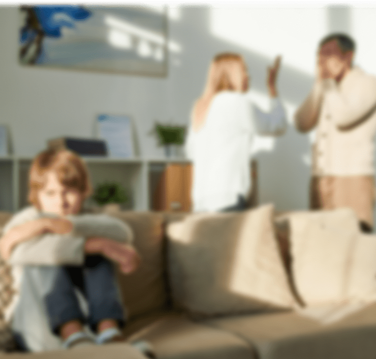 Семейная сора