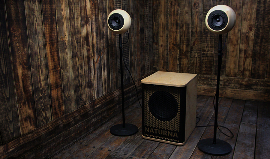 NATURNA WOO. Акустичні системи від українського виробника