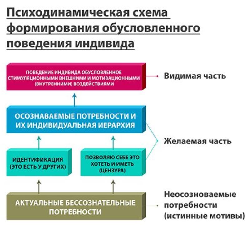 Процесс формирования поведения