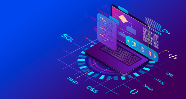 веб разработка 