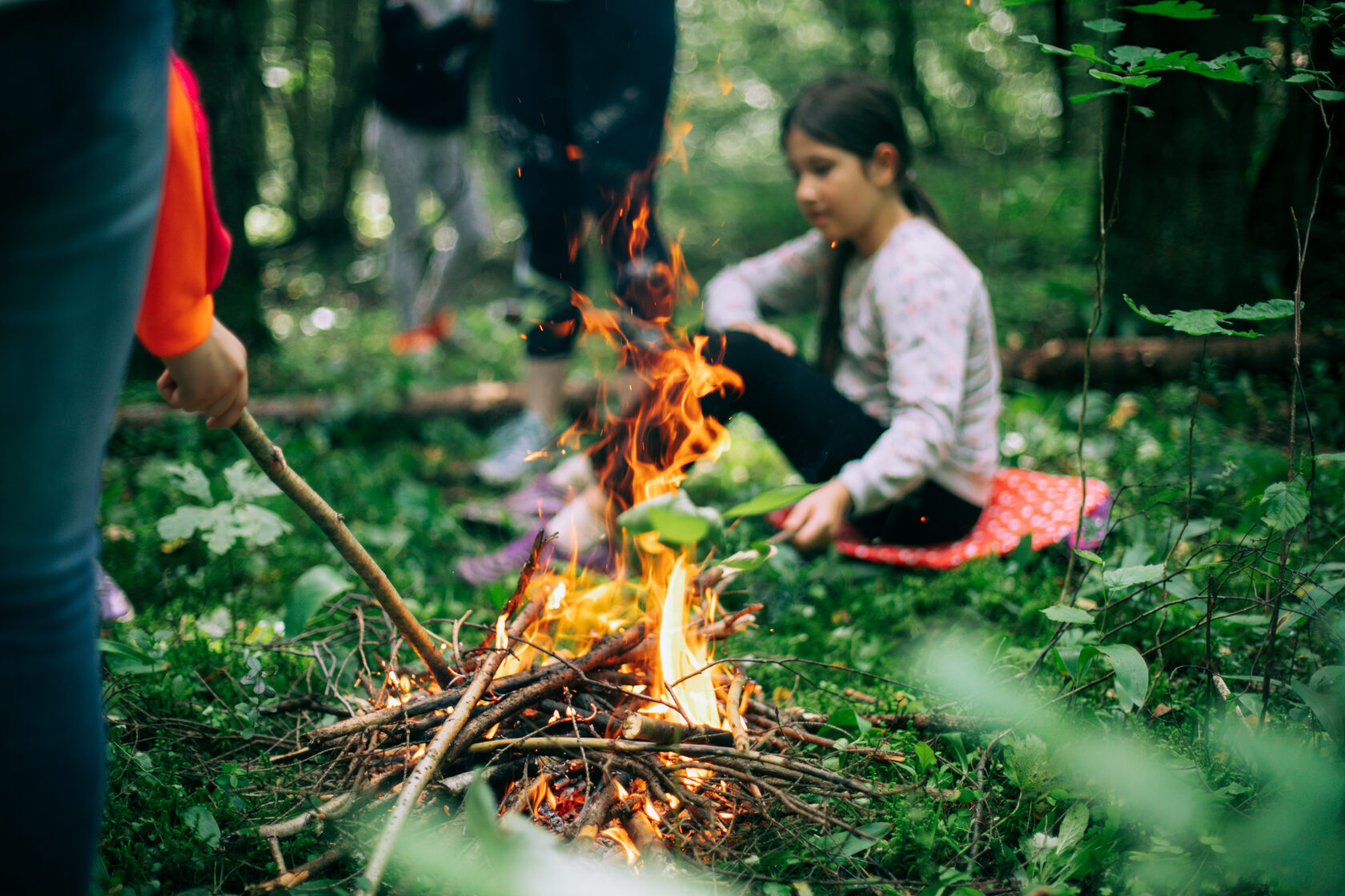 ☀ Детский поход в Подмосковье с мастер-классами. Раздоры (5-10 лет)