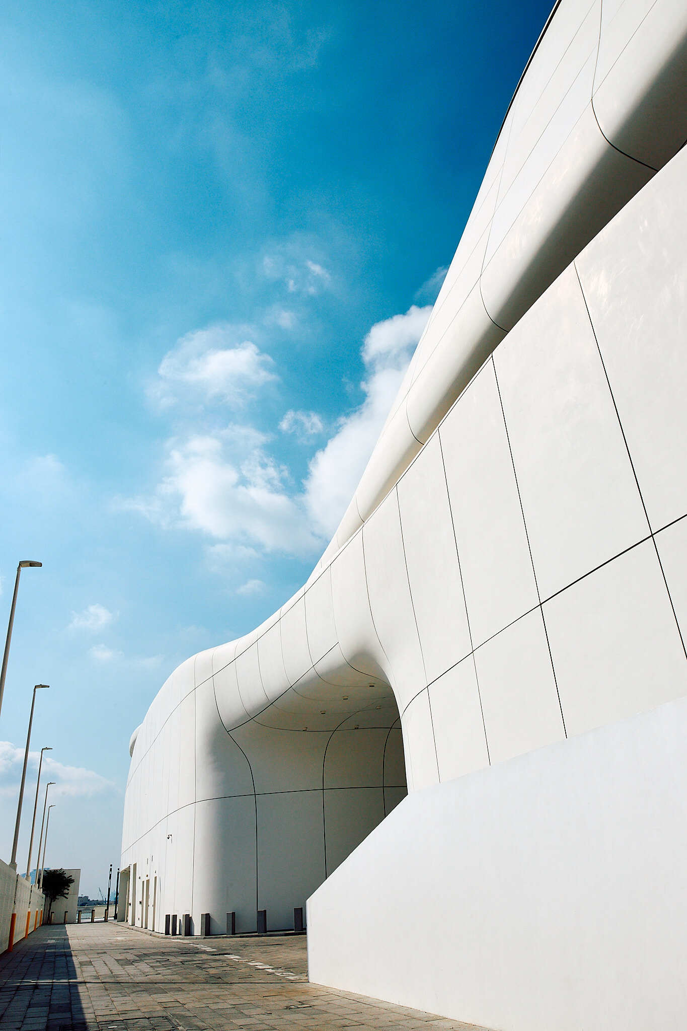 teamLab Phenomena Abu Dhabi, фото Георгий Безбородов