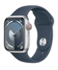 Ремонт Apple Watch