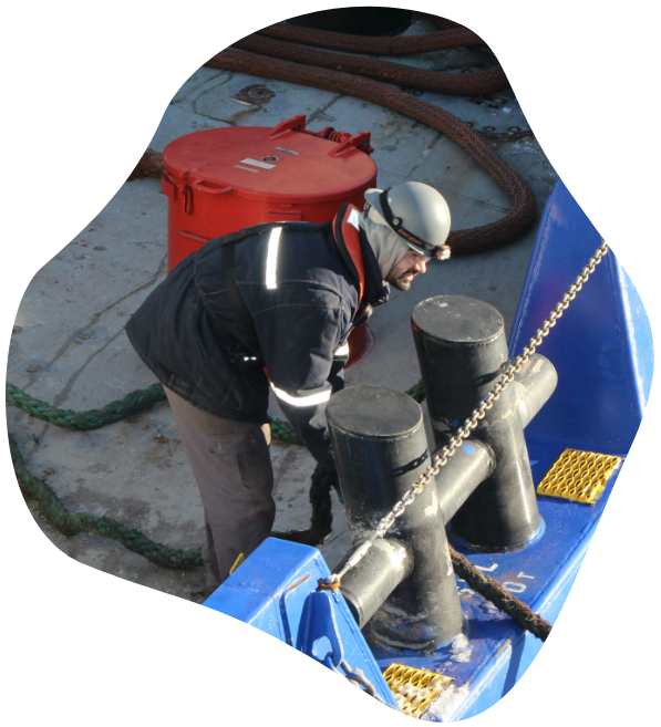 Discover Mariners Careers Imagine Marine