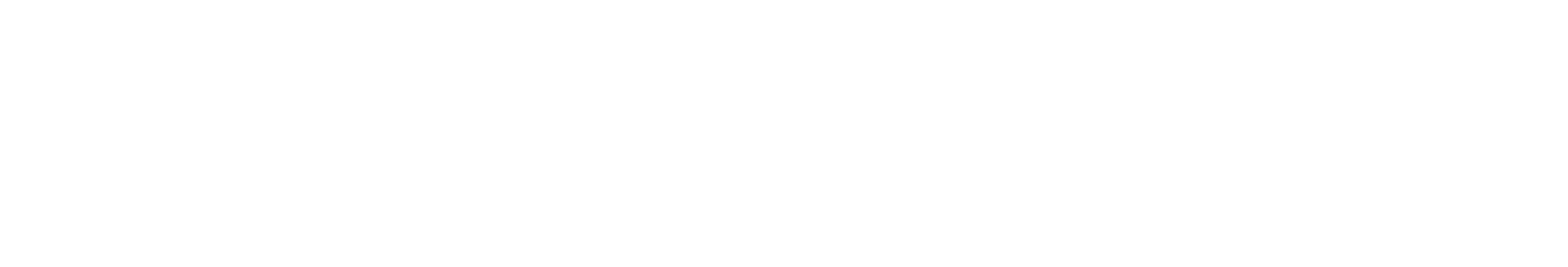 EXPERT-AV