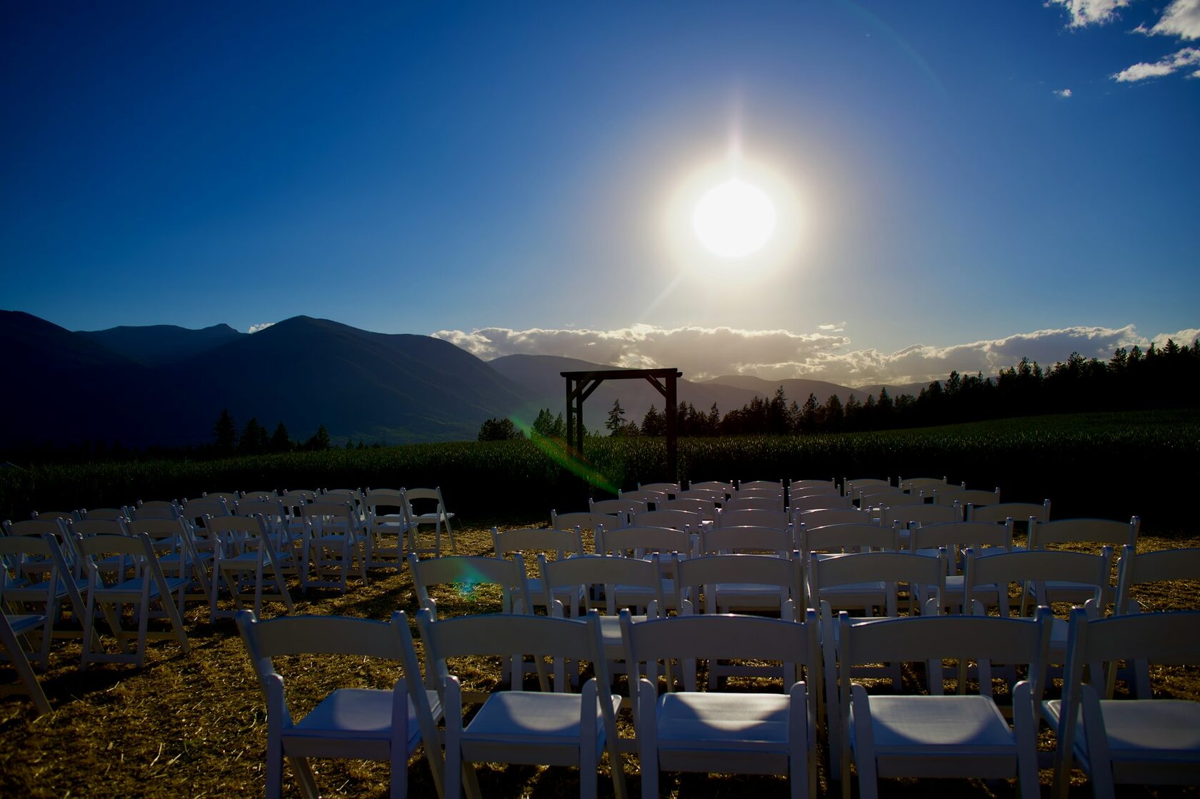 Wedding celebration