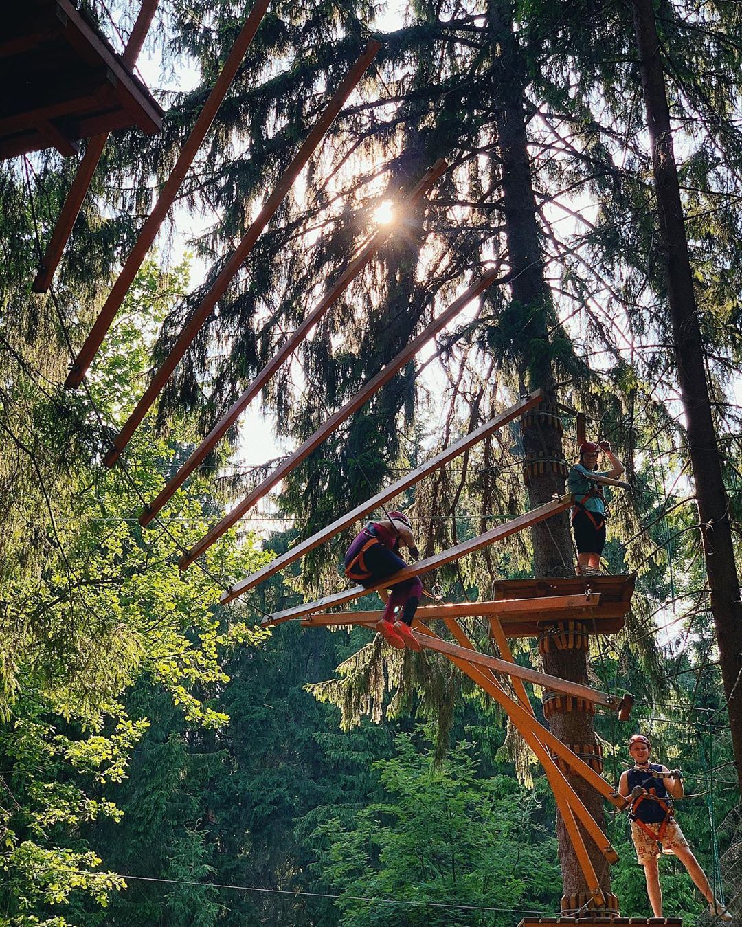 Как создать точку притяжения в парке или курорте с помощью веревочного парка