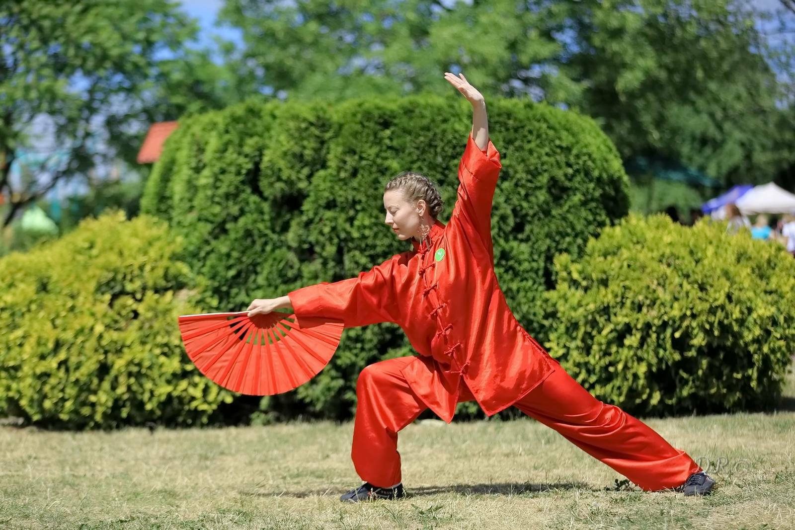 Tai tai москва. Китайская гимнастика tai chi. Таолу тайцзицюань. Цигун Тайцзи кунг фу. Ушу таолу комплексы.