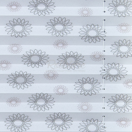 Анже апельсин