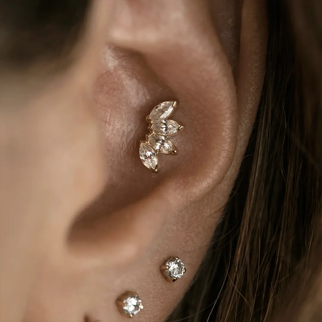 Пирсинг&nbsp;конч