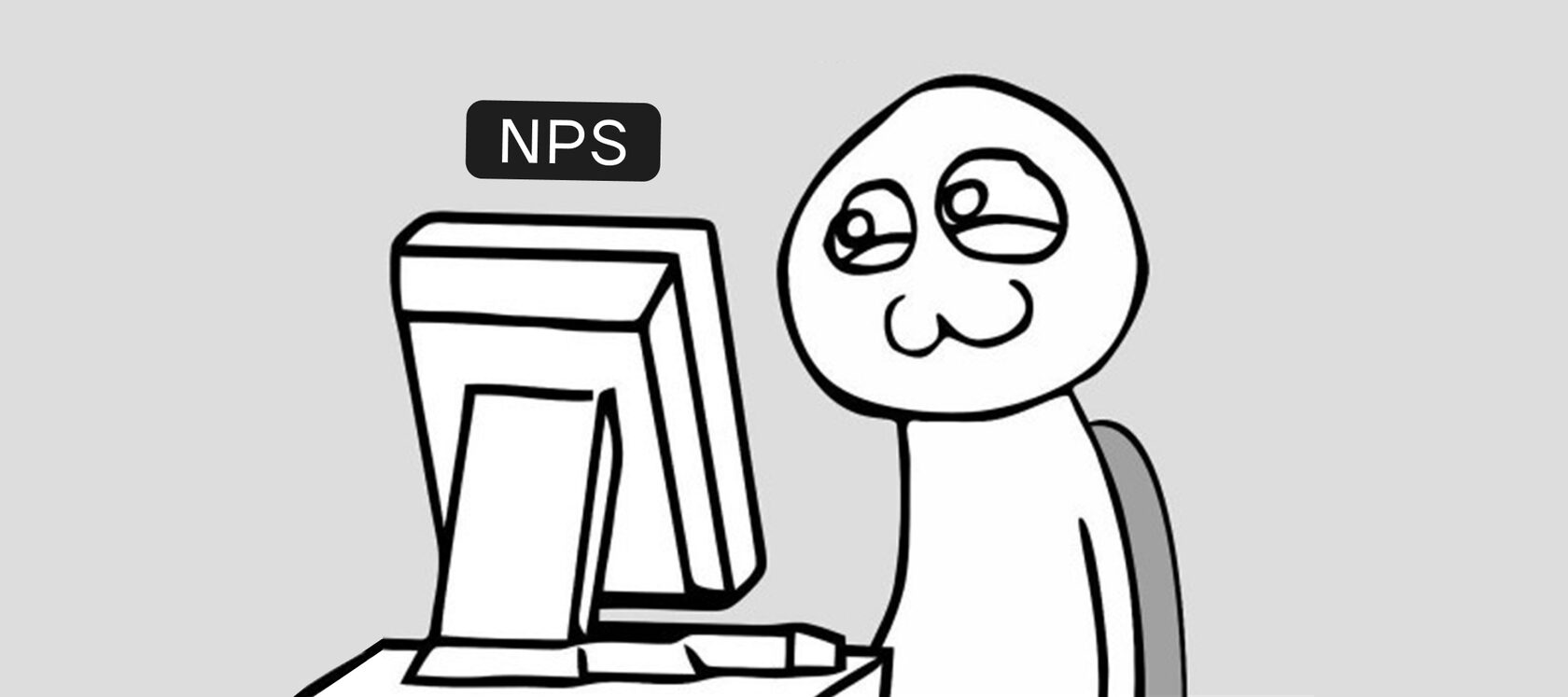 что такое nps?
