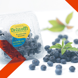 этикетки для пищевых продуктов