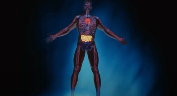 Титановые пластины ионизатор воды