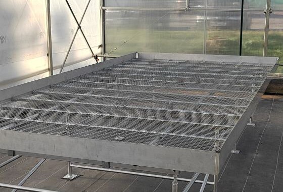 промышленное выращивание овощей