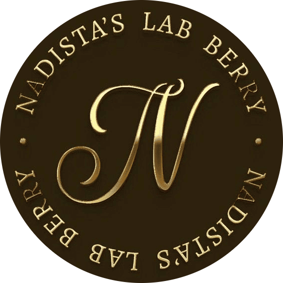 Логотип бизнеса nadista's lab berry клубника в шоколаде