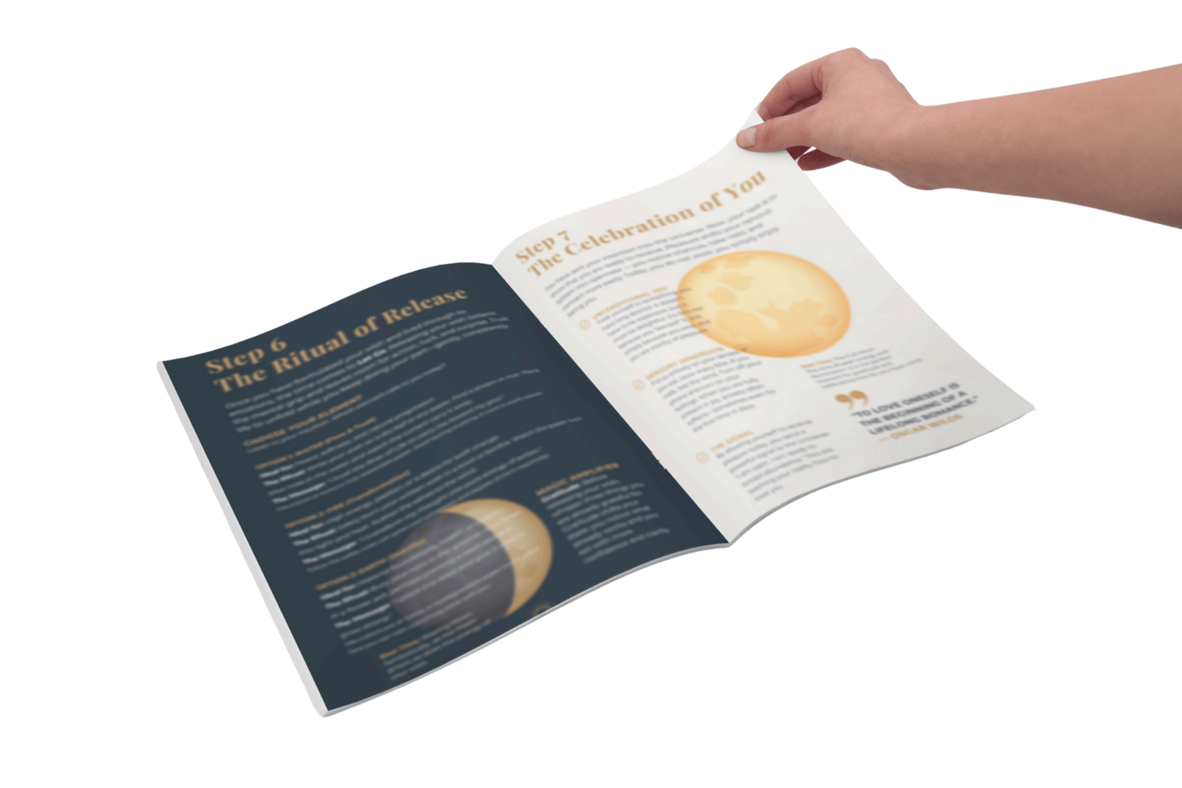 Lunar Cycle Synchronization