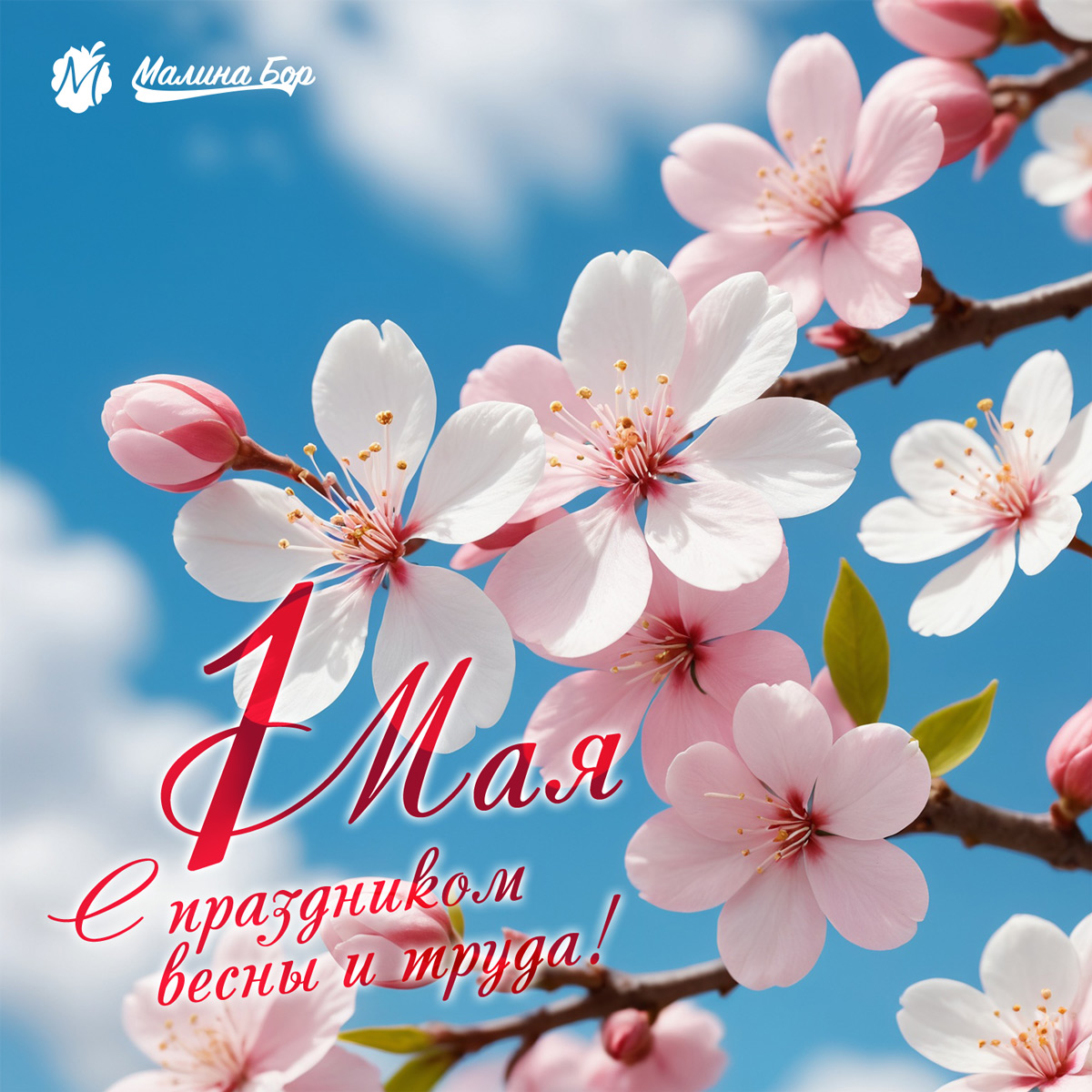 Малина Бор тюмень база отдыха отдых за городом майские праздники первомай день труда день победы