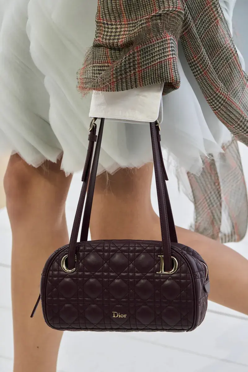 Сумки Dior Spring 2027 37