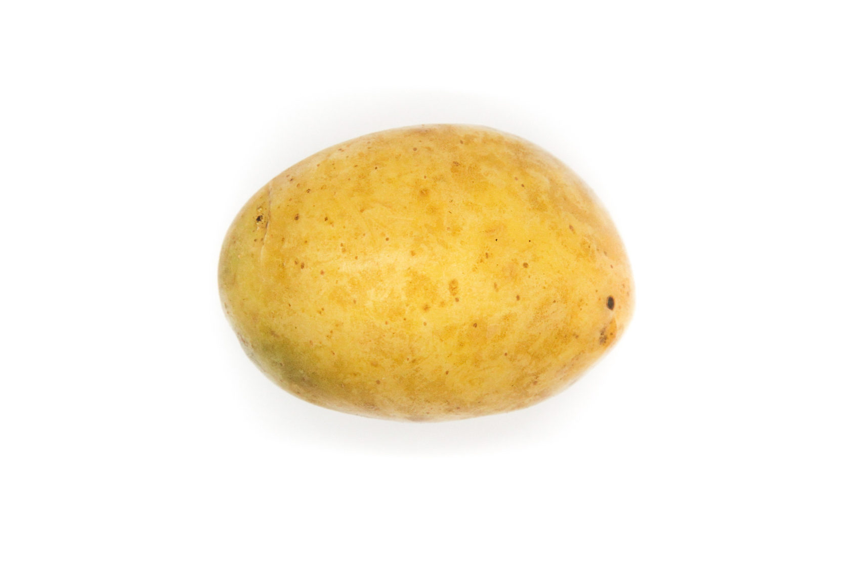 сорт картофеля импала. картофель импала отзывы. сорт картофеля импала. сорт гретта картофель. картофель семенной рэ.