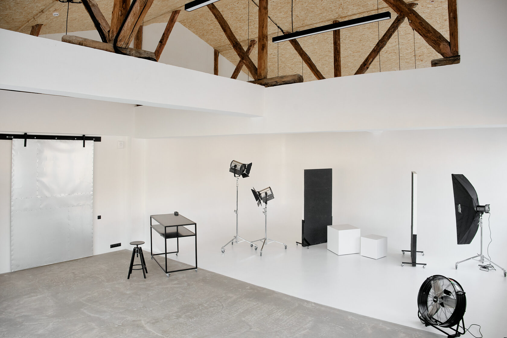 Қайшы киска бейнеге жабысып қалды